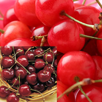 Nijiya Cherry Gift ニジヤ チェリーギフト Nijiya Market Natural Organic Healthy And Gourmet Japanese Grocery